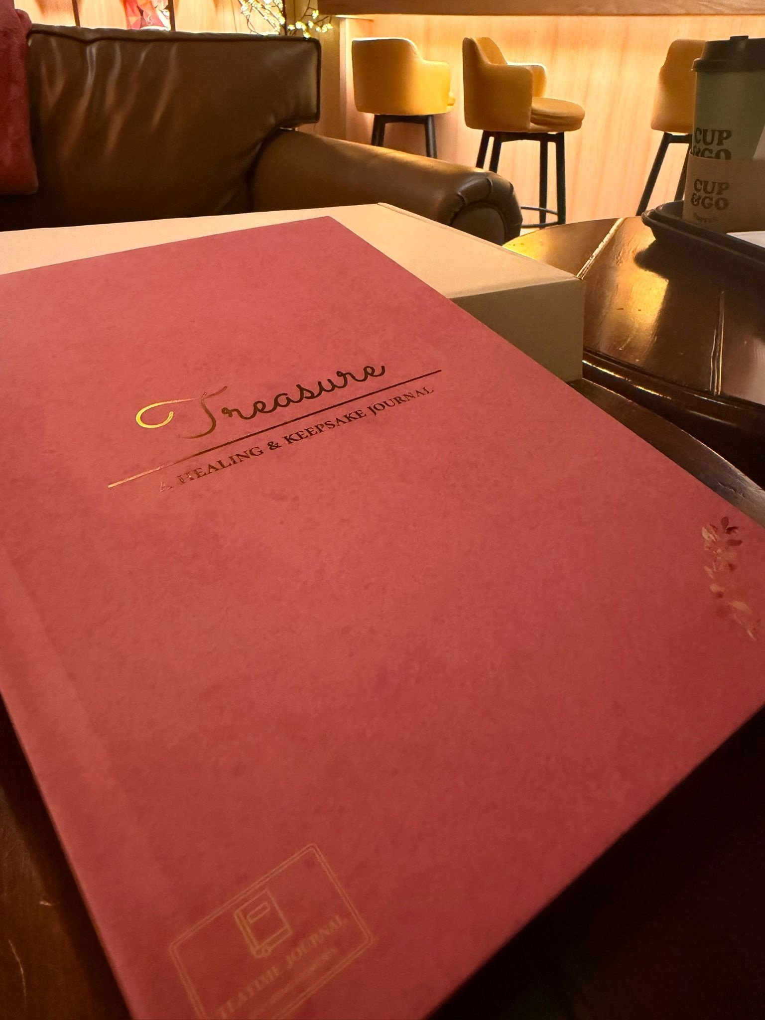 Treasure- Healing and Keepsake Journal